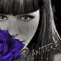 _pantera_