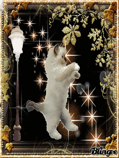 Жас орыс траннилері Vpornuhe ru