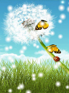 http://www.mobilmusic.ru/mfile/25/c9/75/1153271.gif