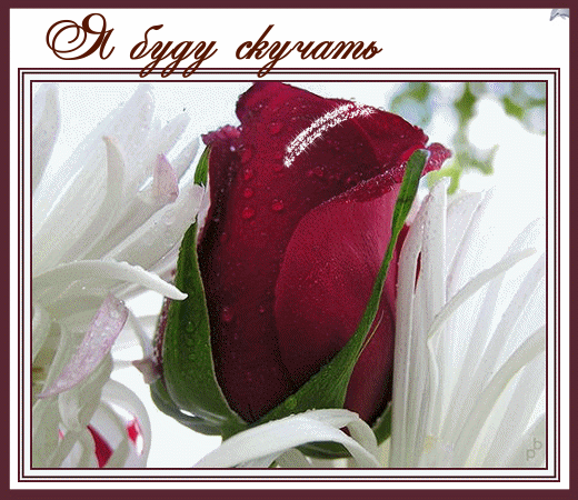 http://www.mobilmusic.ru/mfile/3e/55/b1/562724.gif