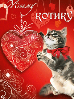 Открытки моему котенку 34