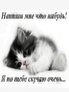Напиши Мне Что-Нибудь. - Анимация На Телефон От A777 №1335011