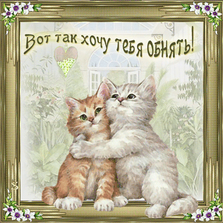 Открытки для любимой девушки с котятами 44