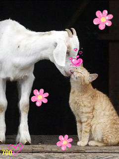 ������� ������ 436765.gif