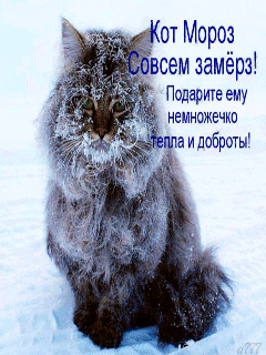 Без Тебя Холодно Картинки