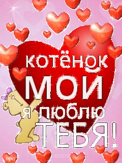 Магомед Омаров - Я Люблю Тебя