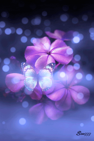 1292166.gif