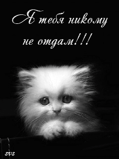 Я Тебя Никому Не Отдам!!! - Анимация На Телефон От Svs №791954