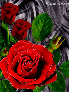 1140288.gif
