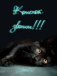 Позвони Мне Гиф