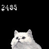 2485
