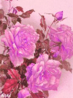 1333168.gif