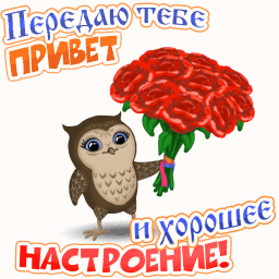   !